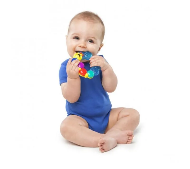 Baby Einstein Teether-pillar Rattle Toy