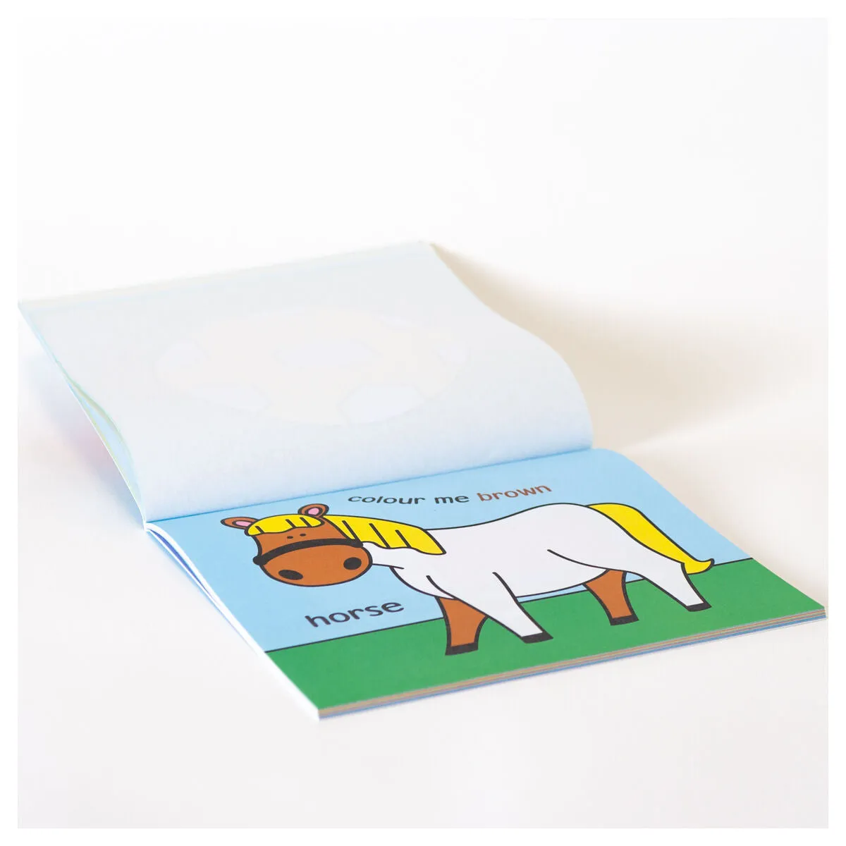 Baby's First Colouring Book (styles vary)