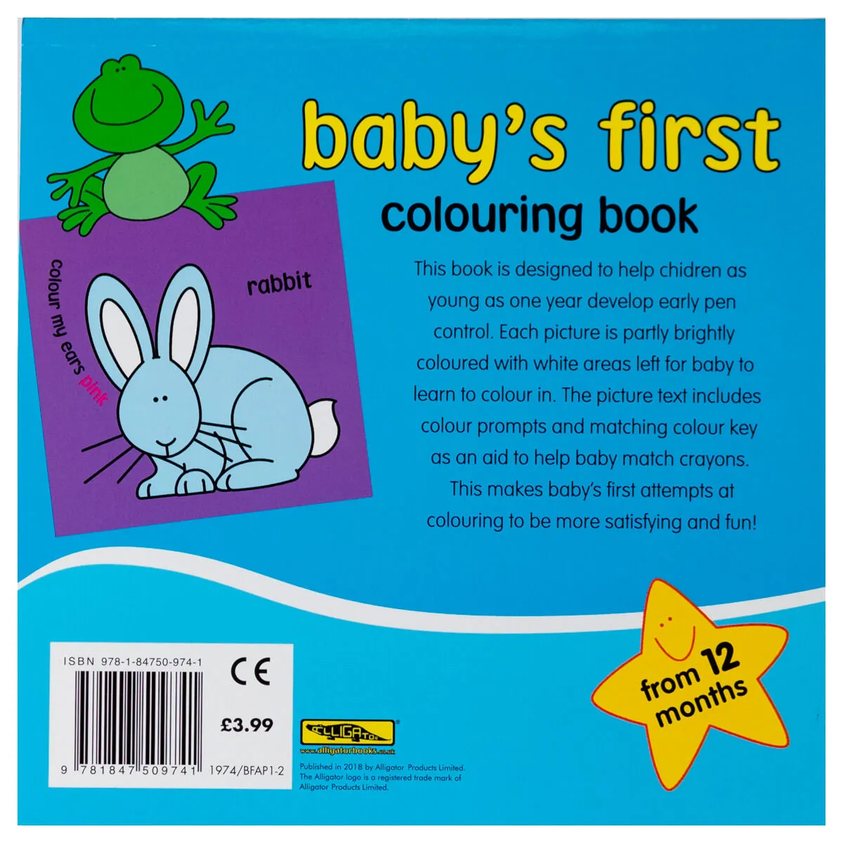 Baby's First Colouring Book (styles vary)