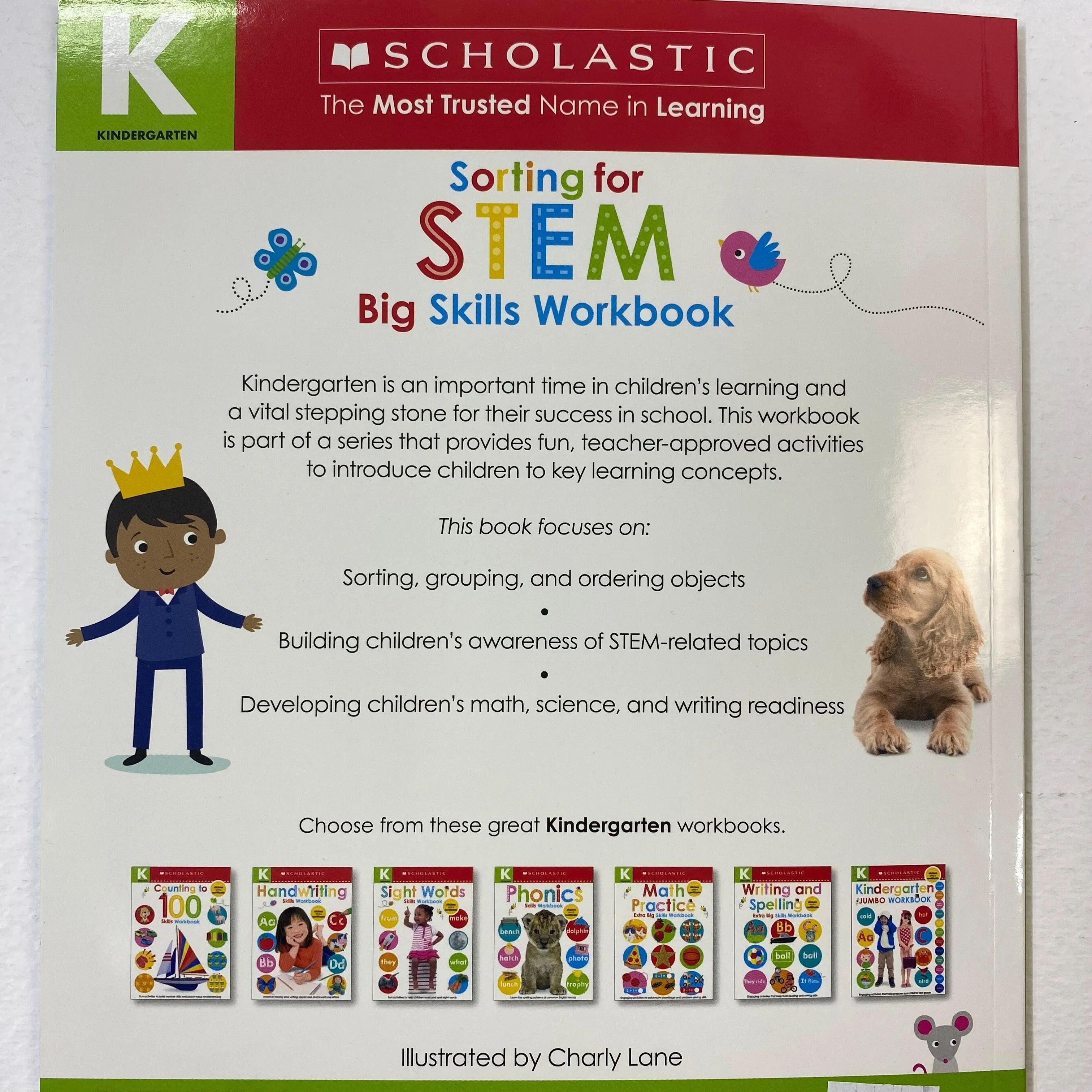 Big Skills Workbook - Sorting for STEM Kindergarten Workbook-Scholastic Early Learners