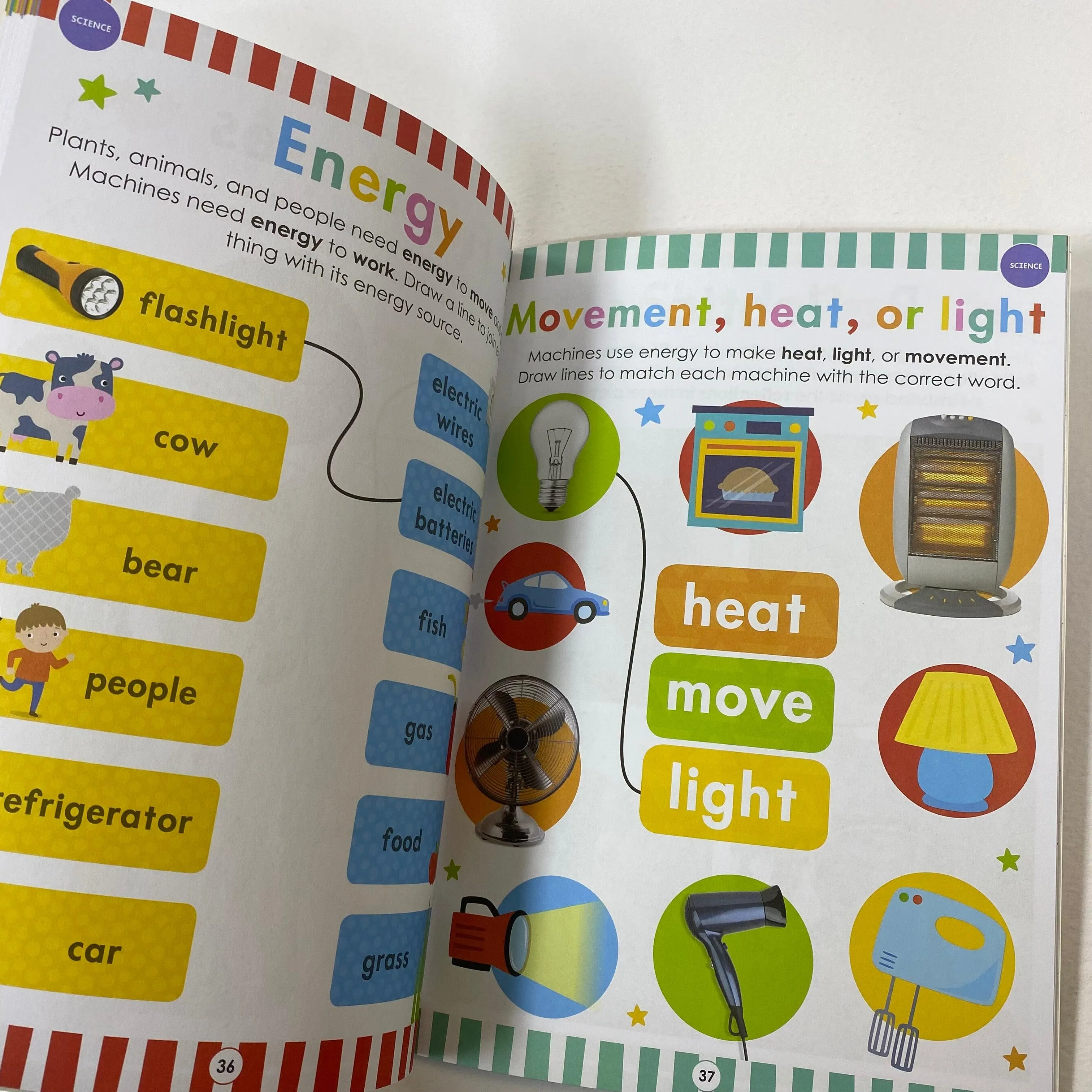 Big Skills Workbook - Sorting for STEM Kindergarten Workbook-Scholastic Early Learners