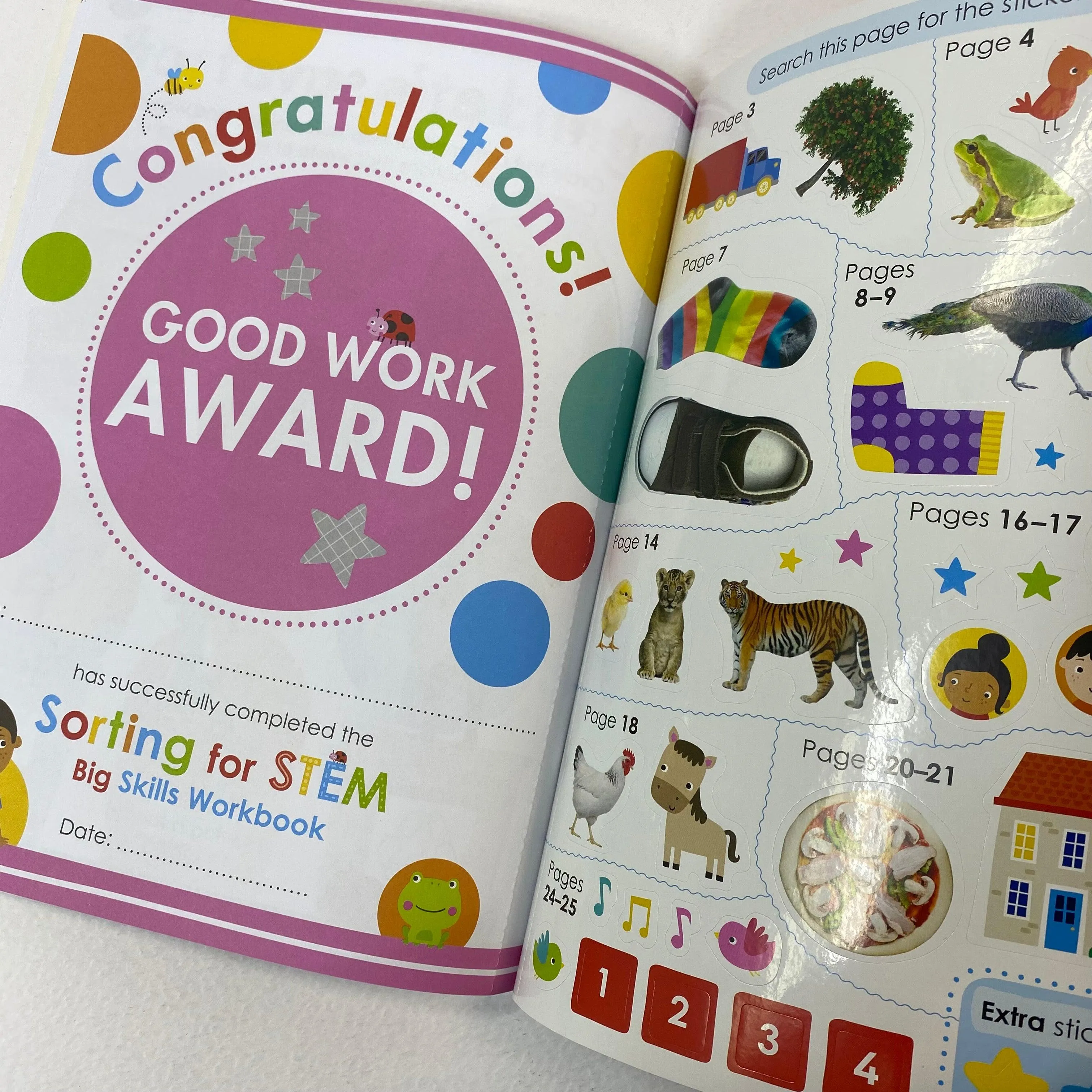Big Skills Workbook - Sorting for STEM Kindergarten Workbook-Scholastic Early Learners