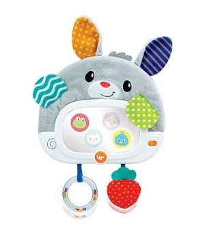 Day N' Night Bunny Pal
