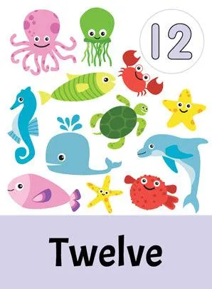 Dreamland Flash Cards Numbers - 30 Double Sided Wipe Clean Flash Cards With Pen - An Early Learning Book For Kids (English)