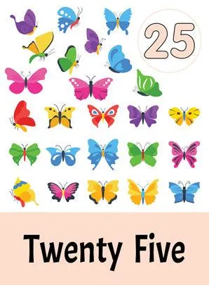 Dreamland Flash Cards Numbers - 30 Double Sided Wipe Clean Flash Cards With Pen - An Early Learning Book For Kids (English)