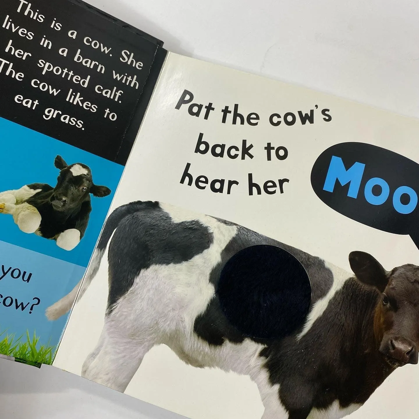 My First Touch and Feel Sound Book - Noisy Farm