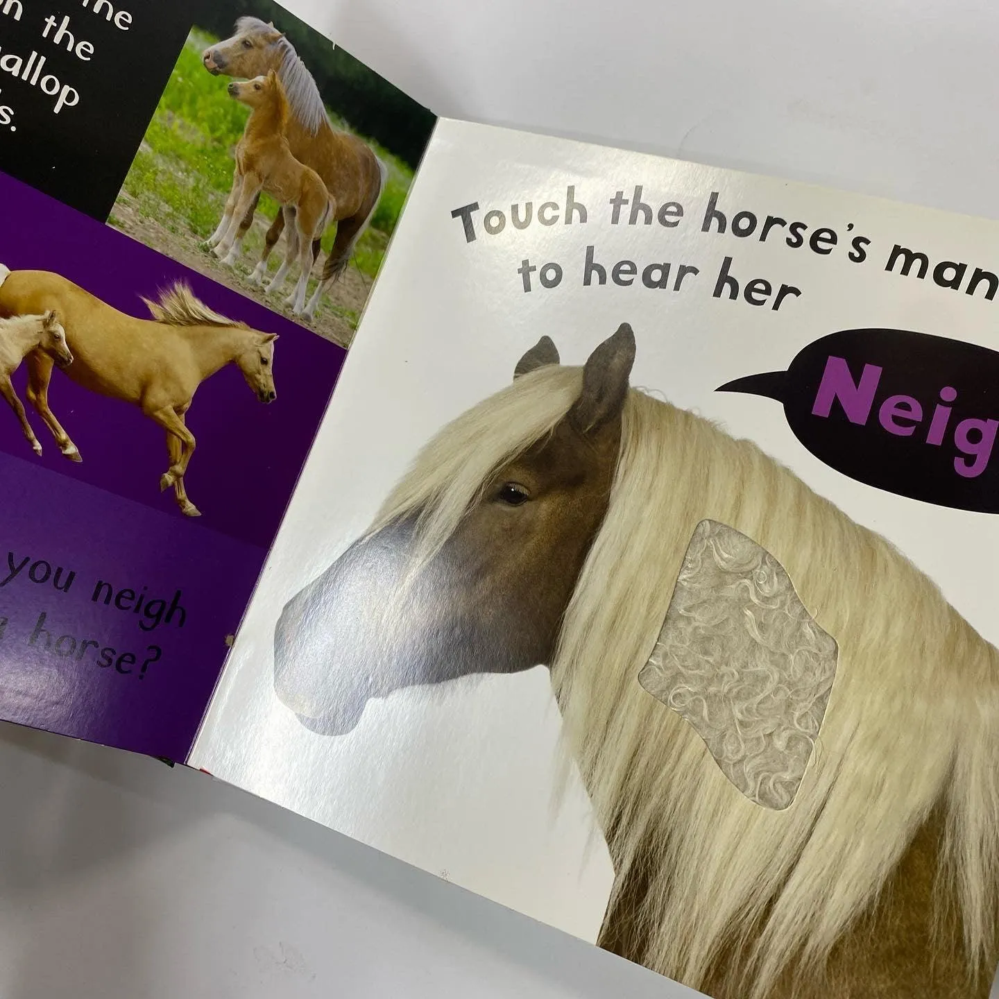 My First Touch and Feel Sound Book - Noisy Farm