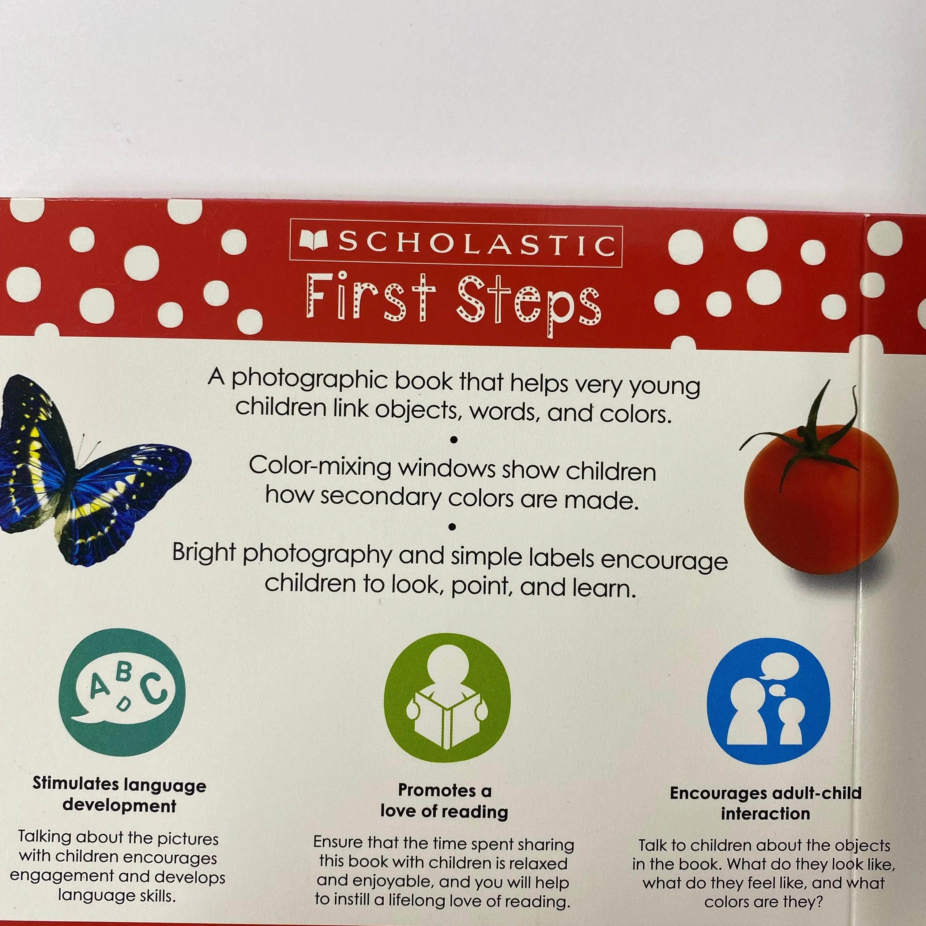 Scholastic First Steps  My First Book of Colors