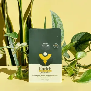 We The Wild | Enrich Powder